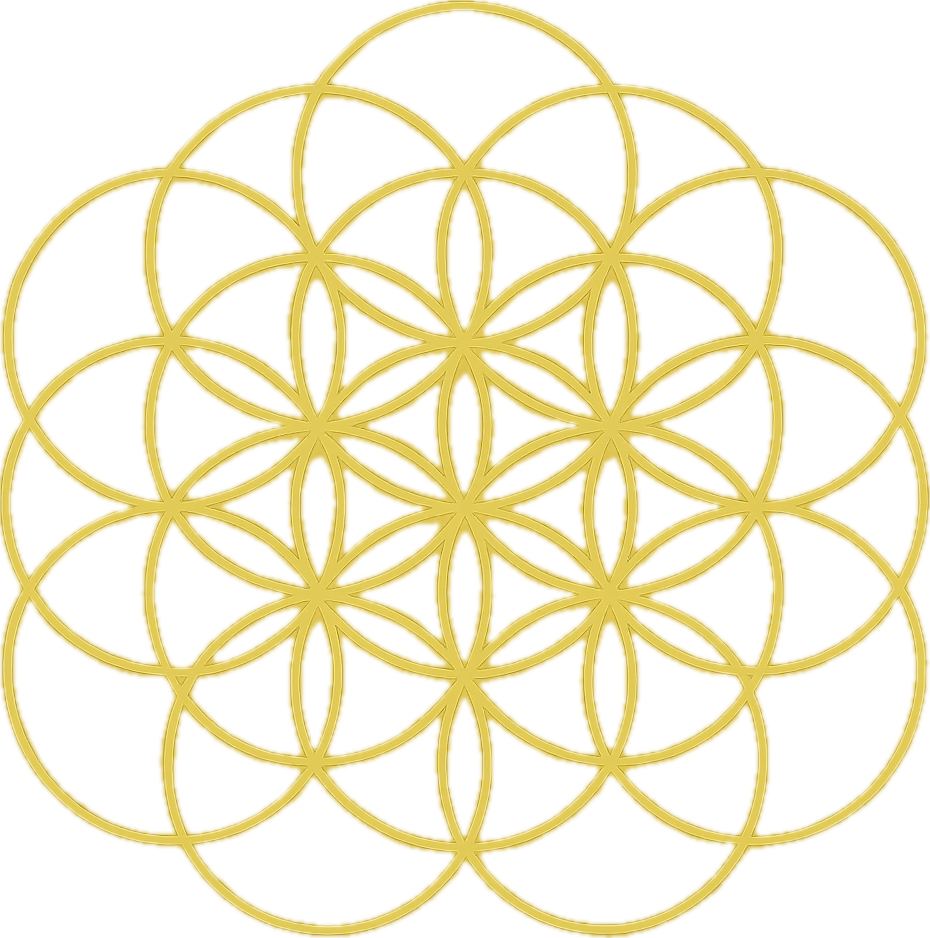 The Yoga Practice logo