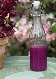 Glasflaske med purpur detox eliksir – lavet af rødkål, rødløg, laurbærblade, nelliker og stjerneanis.